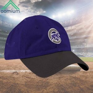 Northwestern University Hat Giveaway 2024