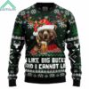 Bear I Like Big Bucks And I Cannot Lie Christmas Sweater