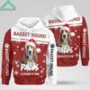 Christmas Basset Hound Paws Is Coming To Town Hoodie