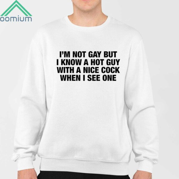 Im Not Gay But I Know A Hot Guy With A Nice Cock When I See One Shirt