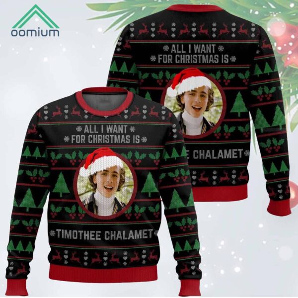 Timothee All I want for Christmas is Chalamet Ugly Christmas Sweater