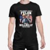 Trump Vance Its Gonna Take A Felon And A Hillbilly To Fix Shirt